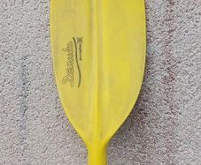 Perception Danube Paddles