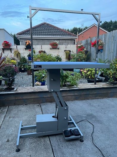 Groom Professional Plata Electric Dog Grooming Table