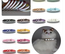 New Reflective Pet Dog Collar PU Leather Adjustable Necklace Colorful Small Pet Supplies Collars for Puppy Cat Dogs
