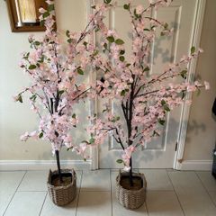 Cherry blossom trees