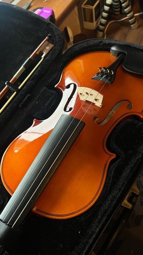 Violin + Case