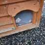 dog box Image 3