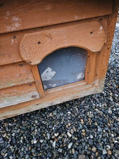 dog box