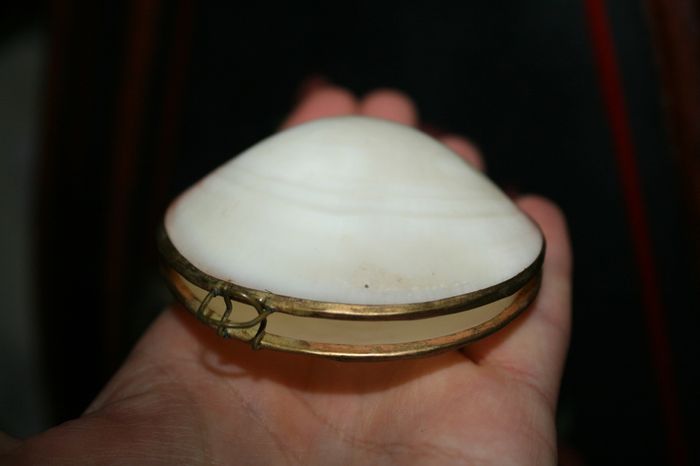 Vintage Genuine Clam Shell Compact Beautiful 2,4"