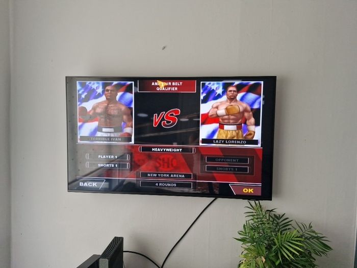 Nintendo Wii Showtime Championship Boxing