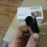 ABS sensor Vw Audi Seat Skoda Image 4