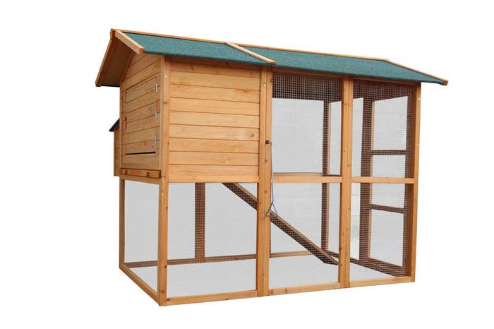 8 Birds Chicken Cooplex Apartment - FREE DELIVERY