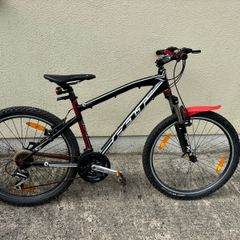 Ladies Bike
