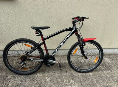 Ladies Bike