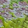 Falcon jigsaw Puzzle 1000 Pieces Image 9