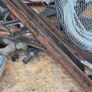 scrap Image 2