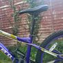 Carrera Mountain Bike Purple/Yellow Image 4