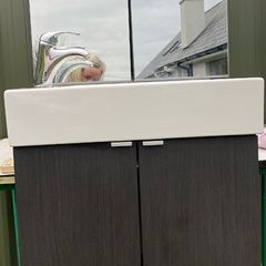 Bathroom vanity unit