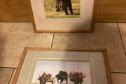 Set of two oil paintings free postage