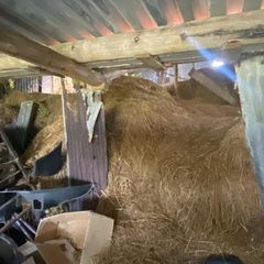 free shed of old hay