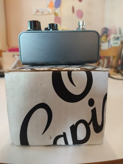 Strymon El Capistan Tape Echo V1 (with box)