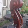 cello Image 4