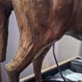 Liberty style Horse Image 5