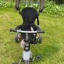 Qplay Cosy 4-in-1 Trike Image 6
