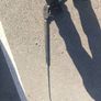 honda power washer 13 hp Image 5