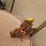 Wooden Teddy lightweight wall hook Image 3