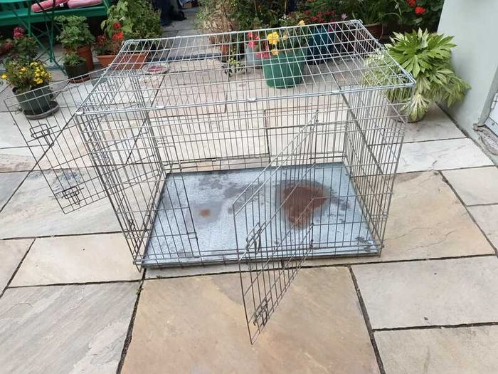 XL dog Crate
