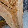 Live Edge Ash Slab - Kiln Dried Image 3