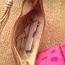 Size 6 dressy shoes Image 5
