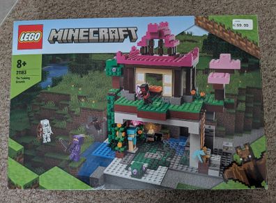 Minecraft Lego 21183 The Training Grounds