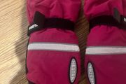 Hestra mittens