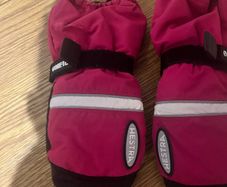 Hestra mittens