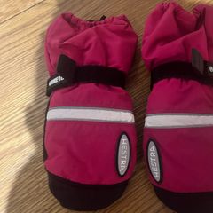 Hestra mittens