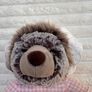 Gund Beatrix Potter Mrs Tiggy Winkle Hedgehog Plush Soft Toy approx. 10 Peter Rabbit Used Please see photos Image 3