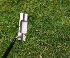 Ontic putter