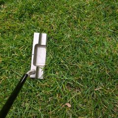 Ontic putter