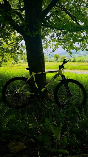 Bentini 26" Mountain Bike