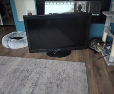 37inch Panasonic VIERA TX-L37S20L