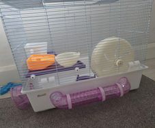 hamster cage