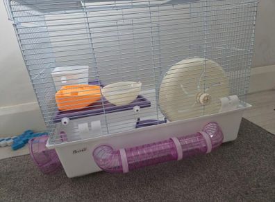 hamster cage
