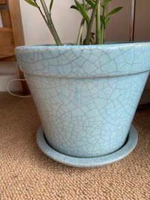 Plant pot