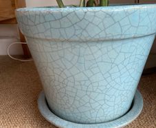 Plant pot