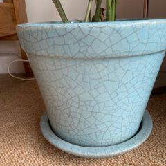 Plant pot