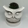 Handmade Concrete Owl Image 9