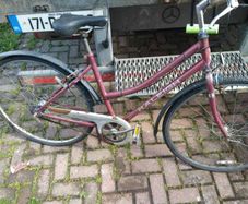 raleigh