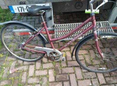 raleigh