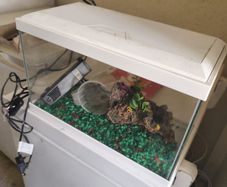 Fish tank
