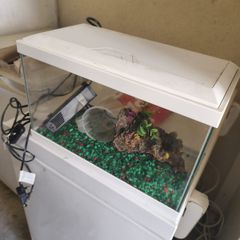 Fish tank