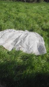 green house cover