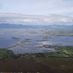 Kamila B.