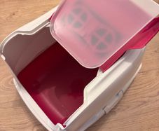 cat litter
